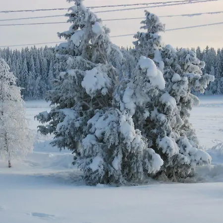 Летний дом Pehtoori Countryhomes